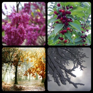 four seasons